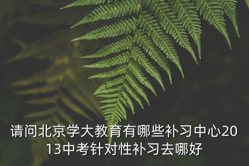 請問北京學大教育有哪些補習中心2013中考針對性補習去哪好