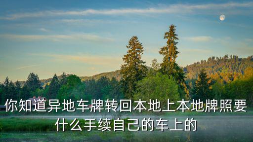 你知道異地車牌轉回本地上本地牌照要什么手續自己的車上的