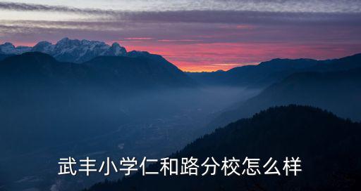 武豐小學(xué)仁和路分校怎么樣
