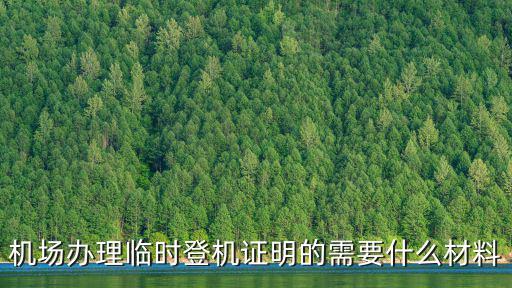 臨時乘機證明，機場辦理臨時登機證明的需要什么材料