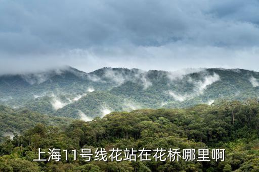 上海11號線花站在花橋哪里啊