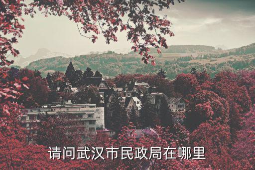 請問武漢市民政局在哪里