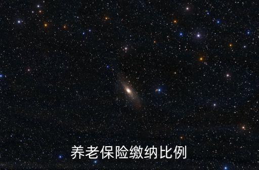 養老保險繳納比例