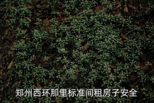鄭州西環(huán)那里標準間租房子安全