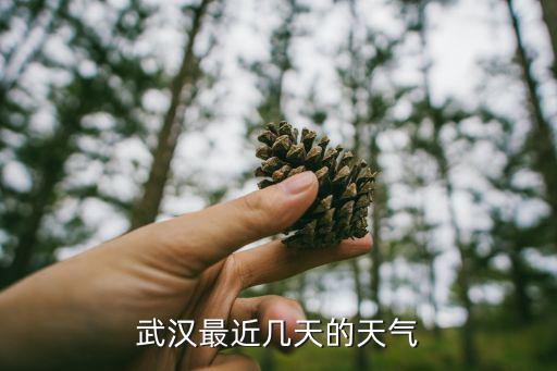 武漢最近幾天的天氣