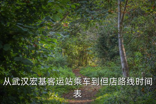 從武漢宏基客運站乘車到但店路線時間表