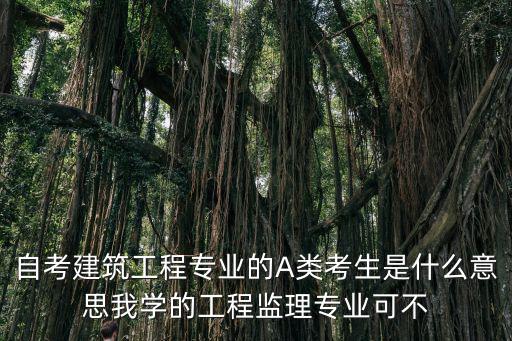 自考建筑工程專業(yè)的A類考生是什么意思我學(xué)的工程監(jiān)理專業(yè)可不
