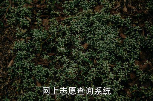 網(wǎng)上志愿查詢系統(tǒng)，查看自己的志愿