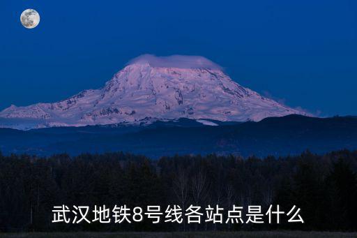 武漢地鐵8號線線路圖，武漢地鐵8號線換乘車站有哪幾個地鐵站