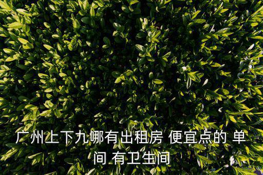 廣州上下九哪有出租房 便宜點(diǎn)的 單間 有衛(wèi)生間