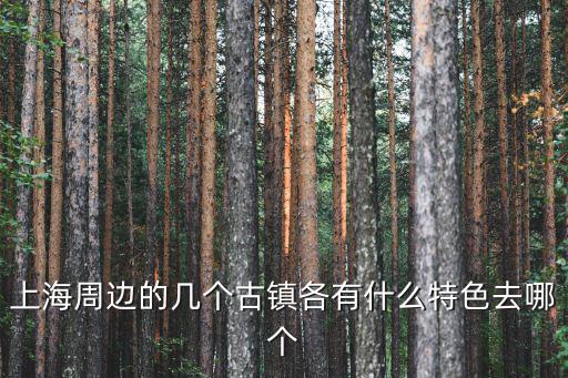 上海周邊的幾個古鎮(zhèn)各有什么特色去哪個