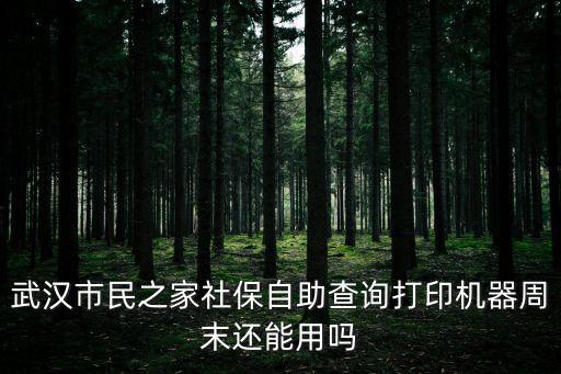武漢市民之家社保自助查詢打印機器周末還能用嗎