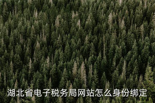 湖北省電子稅務局網站怎么身份綁定