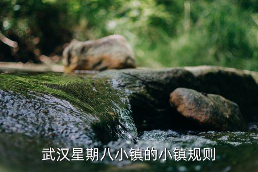 武漢星期八小鎮的小鎮規則