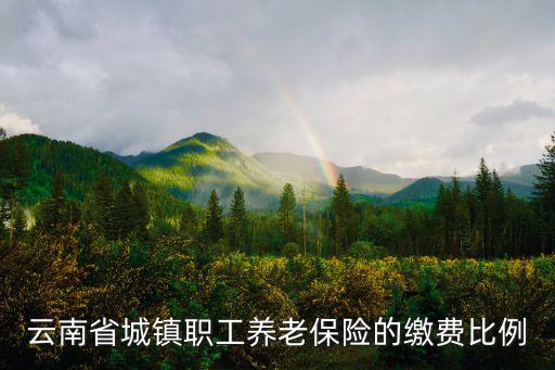 云南省城鎮職工養老保險的繳費比例