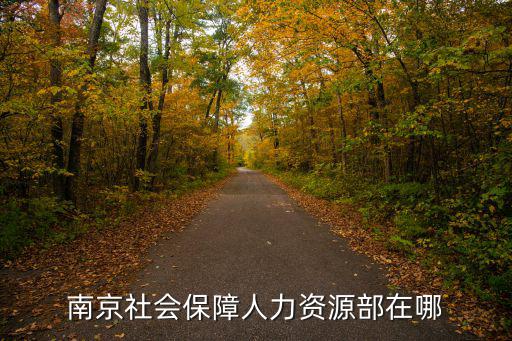 南京社會(huì)保障人力資源部在哪