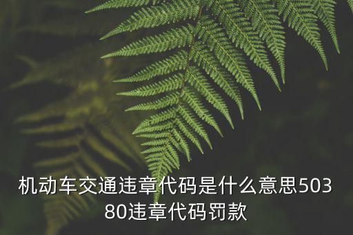 機(jī)動(dòng)車交通違章代碼是什么意思50380違章代碼罰款