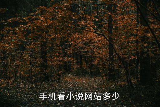 手機看小說網站多少