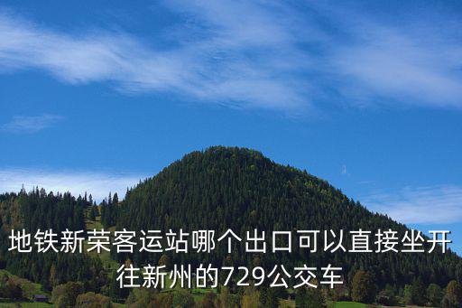 地鐵新榮客運站哪個出口可以直接坐開往新州的729公交車