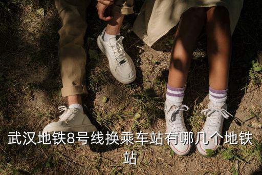 武漢地鐵8號線換乘車站有哪幾個地鐵站