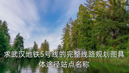 求武漢地鐵5號線的完整線路規劃圖具體途徑站點名稱