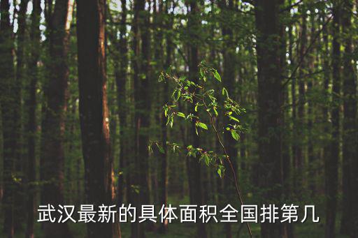 武漢最新的具體面積全國排第幾