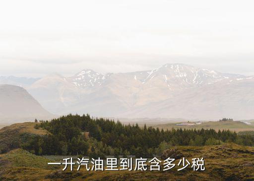 汽油一升多少錢，一升汽油里到底含多少稅