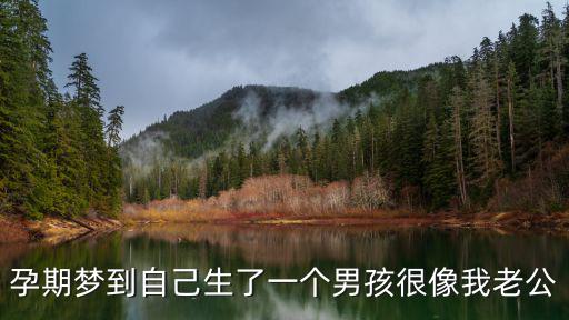 孕期夢到自己生了一個男孩很像我老公