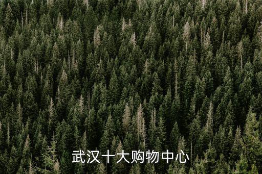 武漢十大購(gòu)物中心