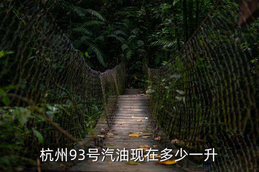 杭州93號(hào)汽油現(xiàn)在多少一升