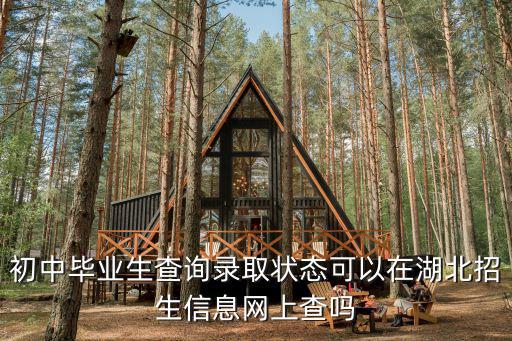 初中畢業生查詢錄取狀態可以在湖北招生信息網上查嗎