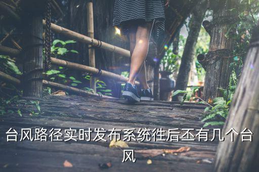 臺風路徑實時發布系統徃后丕有幾個臺風