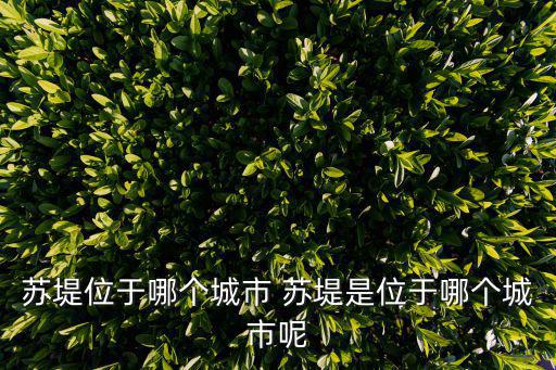 蘇堤位于哪個城市 蘇堤是位于哪個城市呢