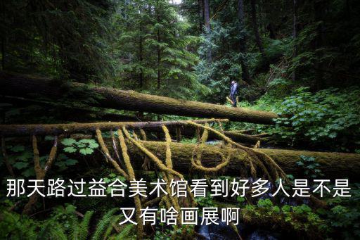 那天路過益合美術館看到好多人是不是又有啥畫展啊