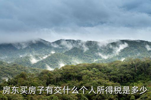 房東買房子有交什么個(gè)人所得稅是多少