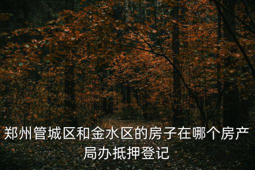 鄭州管城區(qū)和金水區(qū)的房子在哪個(gè)房產(chǎn)局辦抵押登記