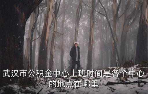 武漢公積金中心官網，武漢市公積金中心上班時間是各個中心的地點在哪里
