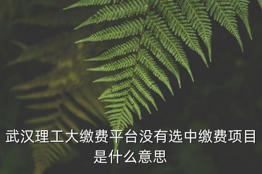 武漢理工大繳費平臺沒有選中繳費項目是什么意思