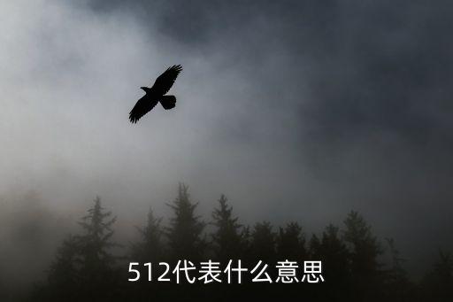 512代表什么意思