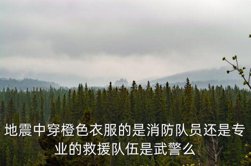 消防救援隊伍，地震中穿橙色衣服的是消防隊員還是專業(yè)的救援隊伍是武警么