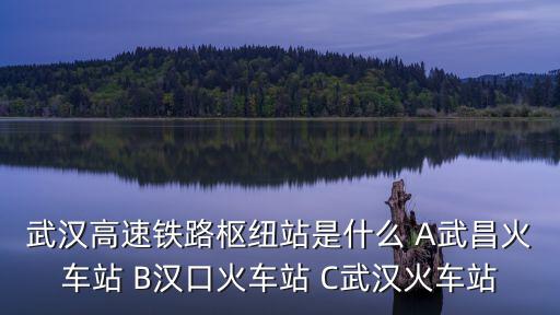 武漢高鐵站叫什么站，武漢高速鐵路樞紐站是什么 A武昌火車站 B漢口火車站 C武漢火車站