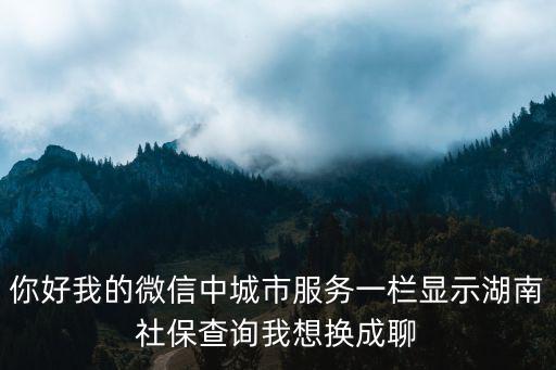 你好我的微信中城市服務(wù)一欄顯示湖南社保查詢我想換成聊