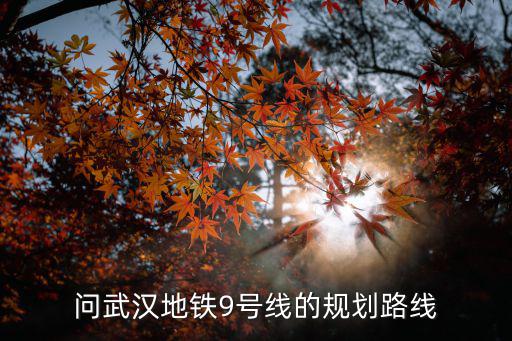 問武漢地鐵9號線的規劃路線