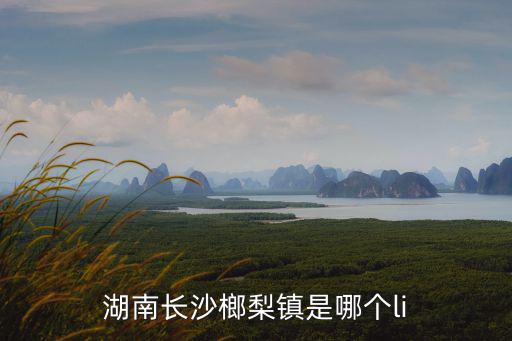 湖南長沙榔梨鎮是哪個li