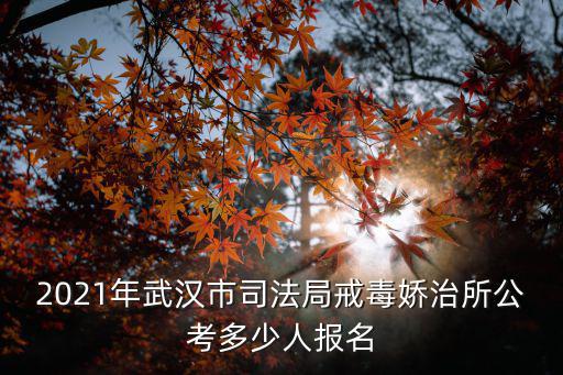 2021年武漢市司法局戒毒嬌治所公考多少人報名