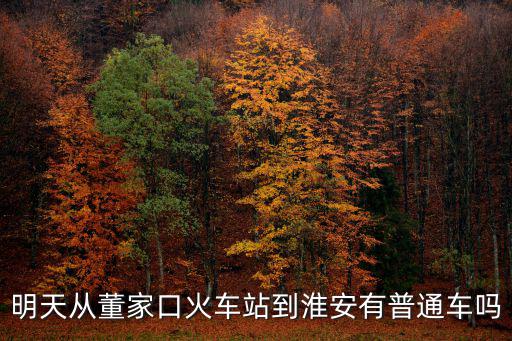 明天從董家口火車站到淮安有普通車嗎