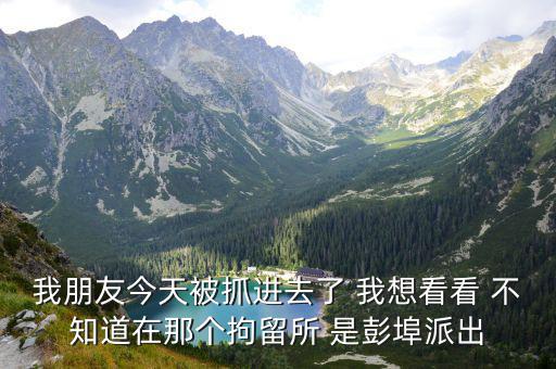 我朋友今天被抓進去了 我想看看 不知道在那個拘留所 是彭埠派出