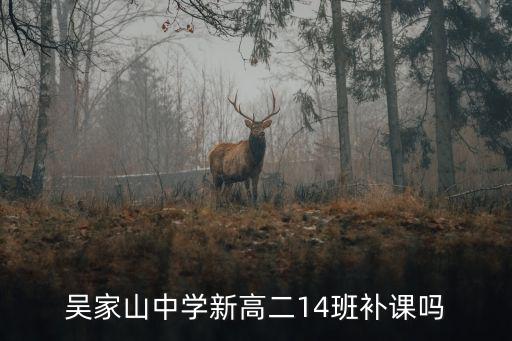 吳家山中學新高二14班補課嗎