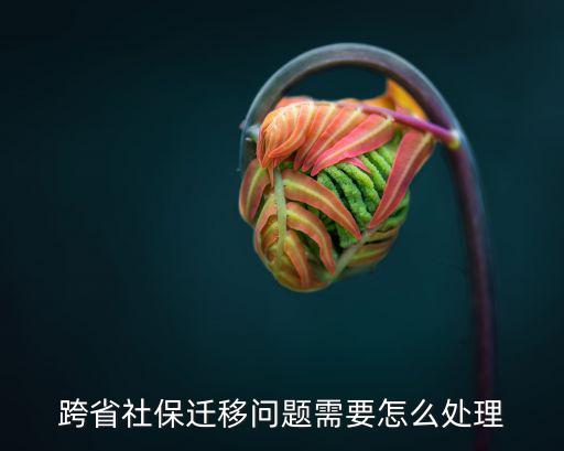 跨省社保遷移問題需要怎么處理