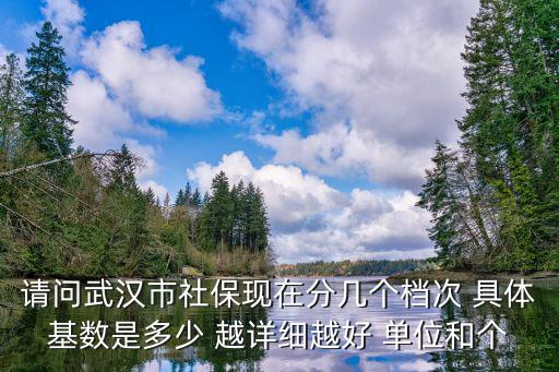 武漢社保繳費基數檔次，請問武漢市社保現在分幾個檔次 具體基數是多少 越詳細越好 單位和個